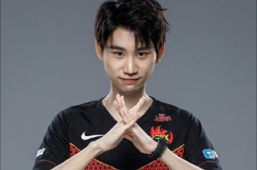 NG28- doinb春季赛冠军 