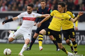 南宫28-德甲国际比赛日再迎强敌，多特蒙德复出首秀，主帅态度：底气十足，控场能力受关注的简单介绍